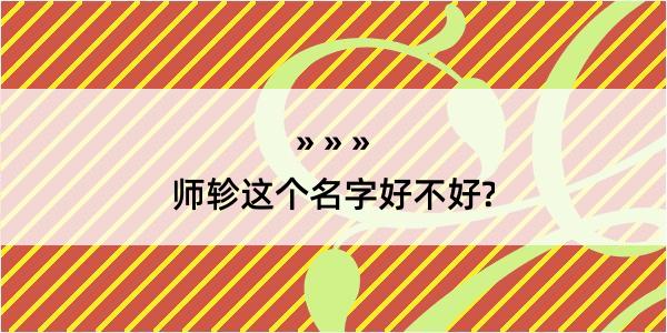 师轸这个名字好不好?