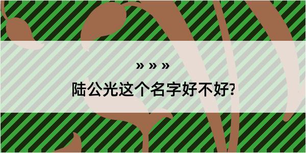 陆公光这个名字好不好?