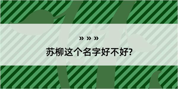 苏柳这个名字好不好?