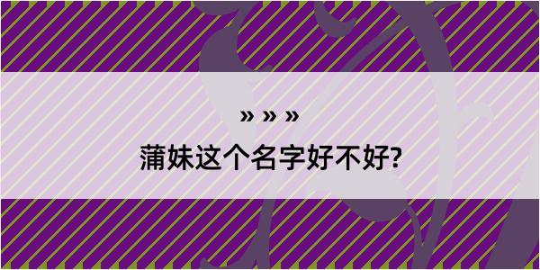 蒲妹这个名字好不好?