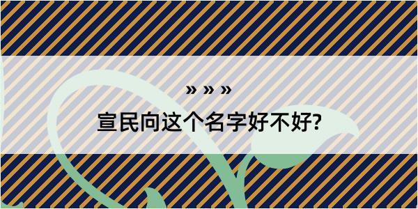 宣民向这个名字好不好?