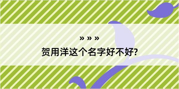 贺用洋这个名字好不好?