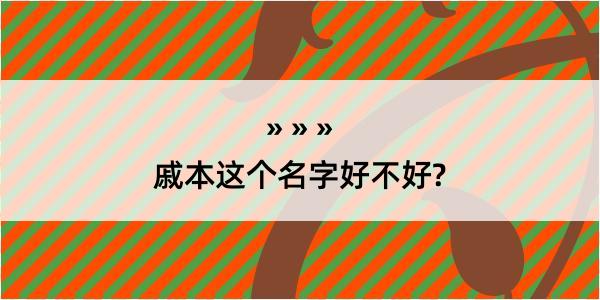 戚本这个名字好不好?