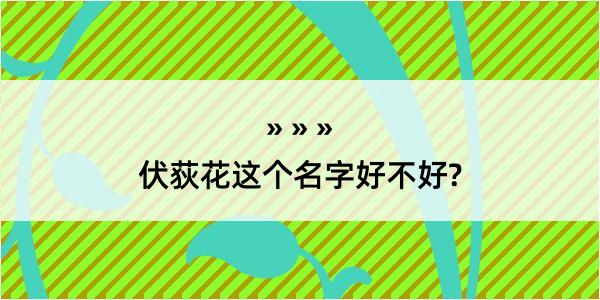 伏荻花这个名字好不好?