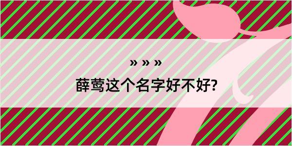 薛莺这个名字好不好?