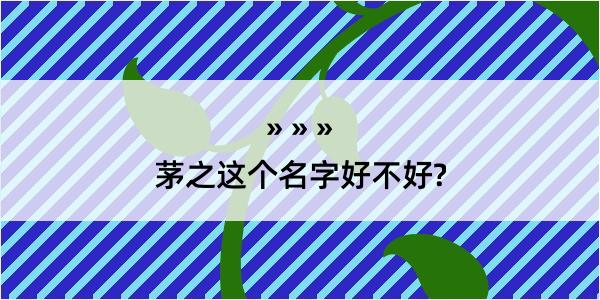 茅之这个名字好不好?