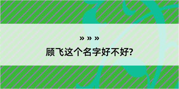 顾飞这个名字好不好?