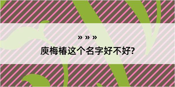 庾梅椿这个名字好不好?