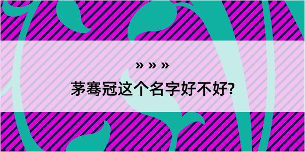 茅骞冠这个名字好不好?