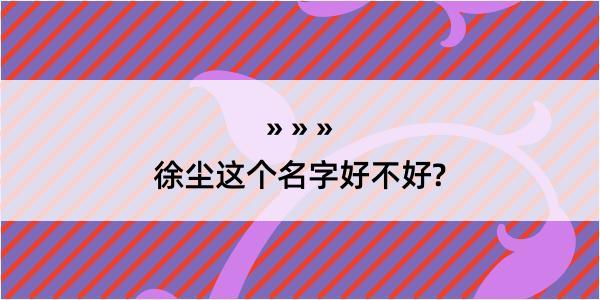 徐尘这个名字好不好?