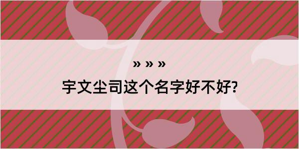 宇文尘司这个名字好不好?