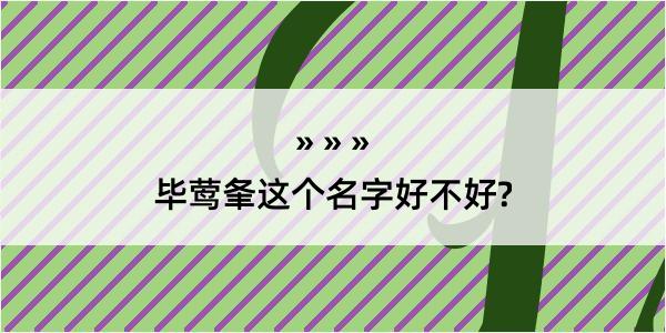 毕莺夆这个名字好不好?