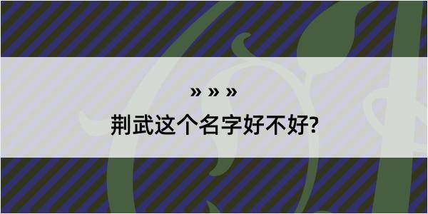 荆武这个名字好不好?