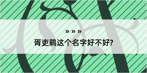 胥吏鹃这个名字好不好?