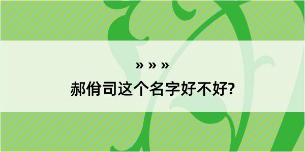 郝佾司这个名字好不好?