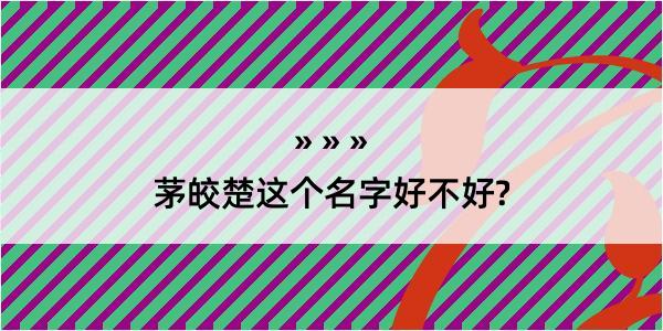 茅皎楚这个名字好不好?