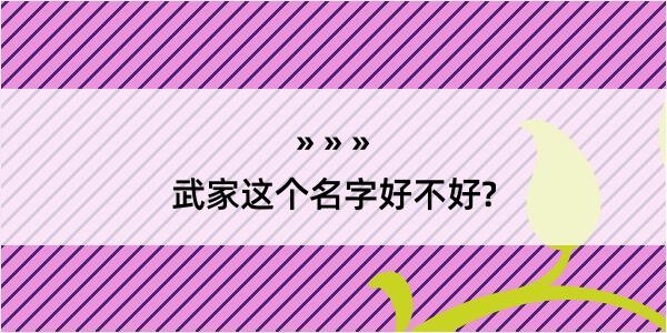 武家这个名字好不好?