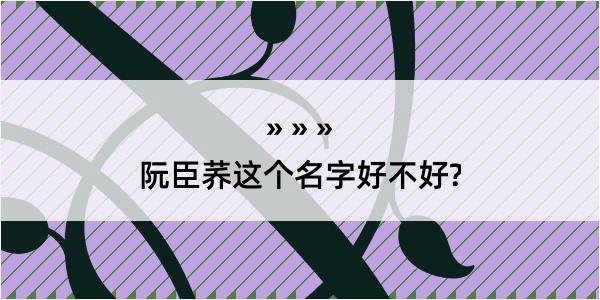 阮臣荞这个名字好不好?