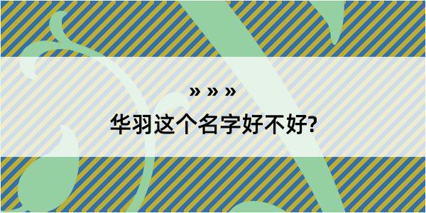 华羽这个名字好不好?