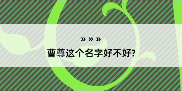 曹尊这个名字好不好?