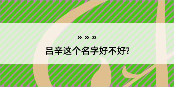 吕辛这个名字好不好?