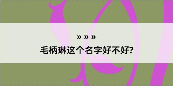 毛柄琳这个名字好不好?