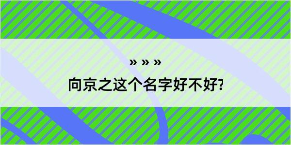 向京之这个名字好不好?