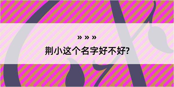 荆小这个名字好不好?