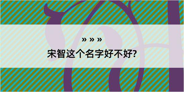 宋智这个名字好不好?