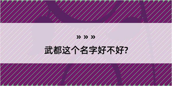 武都这个名字好不好?