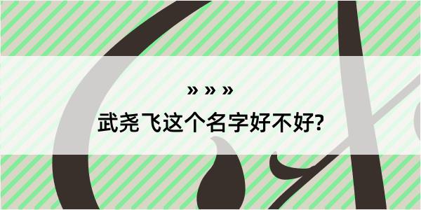 武尧飞这个名字好不好?