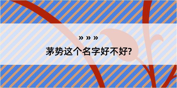 茅势这个名字好不好?