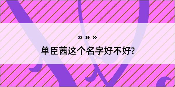 单臣茜这个名字好不好?