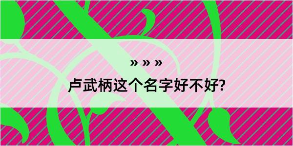 卢武柄这个名字好不好?