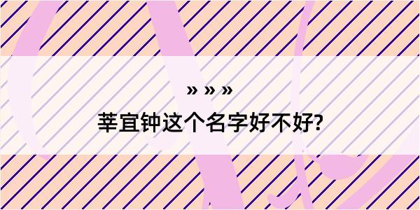 莘宜钟这个名字好不好?