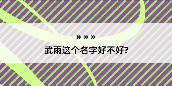 武雨这个名字好不好?