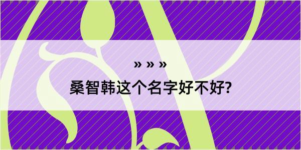 桑智韩这个名字好不好?