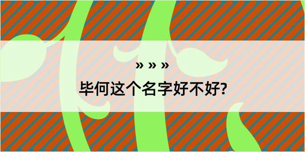 毕何这个名字好不好?