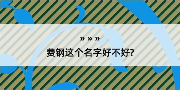 费钢这个名字好不好?