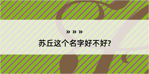 苏丘这个名字好不好?