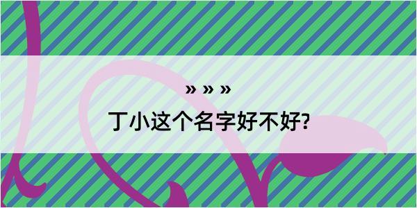 丁小这个名字好不好?