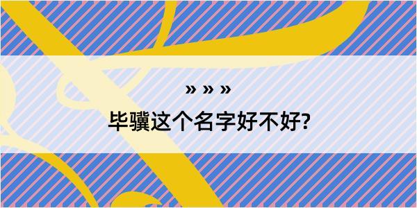 毕骥这个名字好不好?