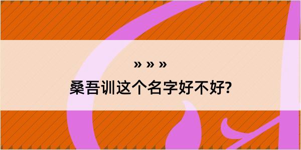 桑吾训这个名字好不好?