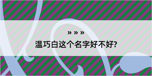 温巧白这个名字好不好?