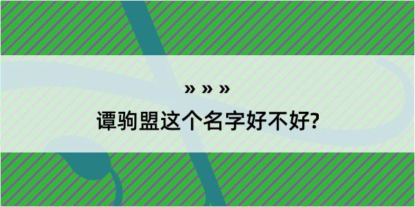 谭驹盟这个名字好不好?