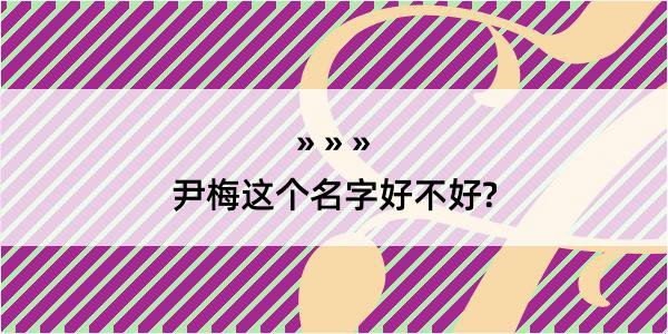 尹梅这个名字好不好?