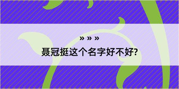 聂冠挺这个名字好不好?