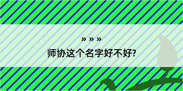 师协这个名字好不好?