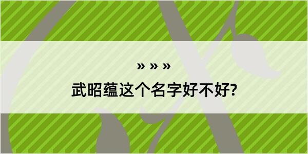 武昭蕴这个名字好不好?