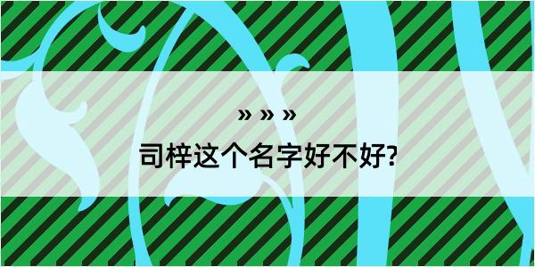 司梓这个名字好不好?